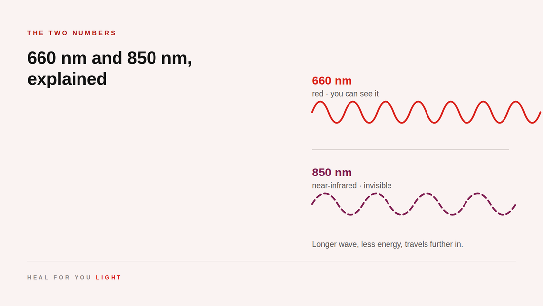 A short red 660 nm wave above a longer dashed 850 nm near-infrared wave