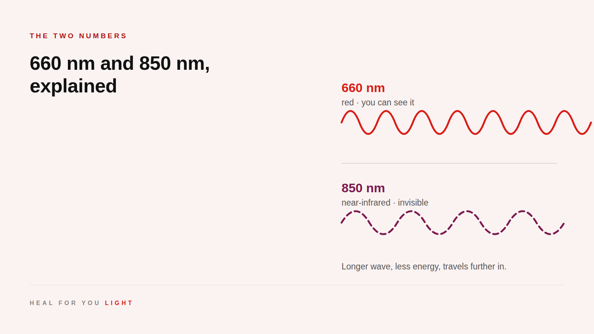 A short red 660 nm wave above a longer dashed 850 nm near-infrared wave